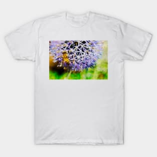 Bee On Small Globe Thistle 4 T-Shirt